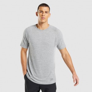 Camiseta Gymshark Retake Seamless Gris Claro Negras | 93GNBROYH