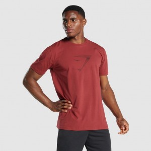 Camiseta Gymshark Sharkhead Infill Burdeos | 12QXKTNDO
