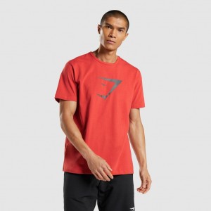 Camiseta Gymshark Sharkhead Infill Rojas | 20HWUNCMJ