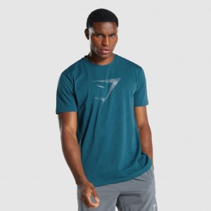 Camiseta Gymshark Sharkhead Infill Teal | 23VHDKZUC