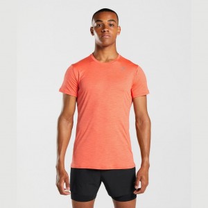 Camiseta Gymshark Speed Naranjas | 26UFCDXVH