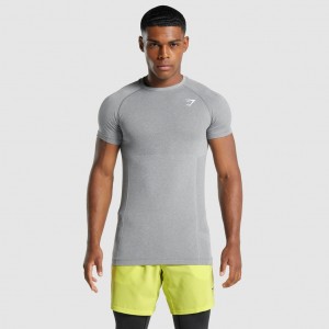 Camiseta Gymshark Vital Light Seamless Charcoal Marl | 18ETNXWMG
