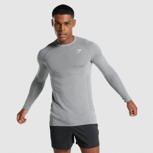 Camiseta Gymshark Vital Light Seamless Long Sleeve Charcoal Marl | 35AUHMFVO