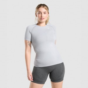 Camiseta Gymshark Vital Seamless 2.0 Gris Claro | 31IRSFDHW