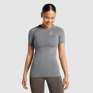 Camiseta Gymshark Vital Seamless 2.0 Gris | 50GYVJLIS