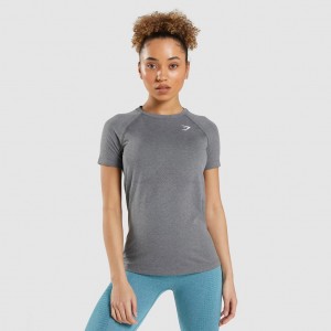 Camiseta Gymshark Vital Seamless 2.0 Light Gris | 06BLHFYSX