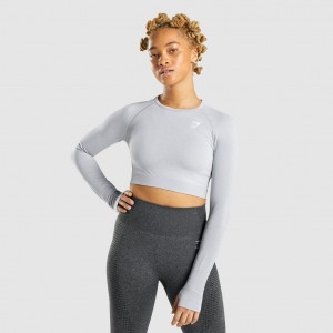 Camiseta Gymshark Vital Seamless 2.0 Long Sleeve Crop Gris Claro | 19UMPSWRZ