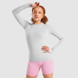 Camiseta Gymshark Vital Seamless 2.0 Long Sleeve Gris Claro | 75RJHWKFE