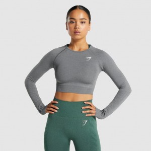 Camiseta Gymshark Vital Seamless 2.0 Long Sleeve Crop Gris | 51MIEFNTY