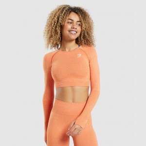 Camiseta Gymshark Vital Seamless 2.0 Long Sleeve Crop Albaricoque Naranjas | 58GFJQNRV