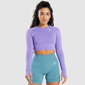 Camiseta Gymshark Vital Seamless 2.0 Long Sleeve Crop Moradas | 63PNMKQWB