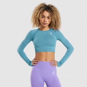 Camiseta Gymshark Vital Seamless 2.0 Long Sleeve Crop Tahoe Teal Marl | 19ENOLKGH