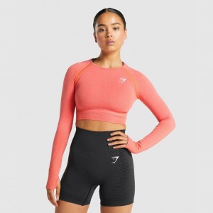 Camiseta Gymshark Vital Seamless 2.0 Long Sleeve Crop Naranjas | 31WEGKALH