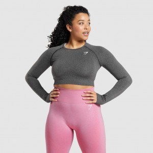 Camiseta Gymshark Vital Seamless 2.0 Long Sleeve Crop Charcoal Marl | 64XFPAMIC