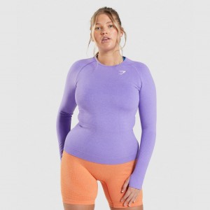 Camiseta Gymshark Vital Seamless 2.0 Long Sleeve Moradas | 65XPCJAMS