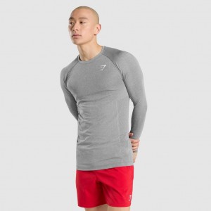 Camiseta Gymshark Vital Seamless Long Sleeve Charcoal Marl | 78JRWNEYM