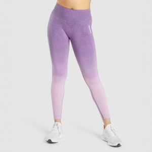 Leggins Gymshark Adapt Ombre Seamless Moradas Claro Moradas | 58MRUYVFB