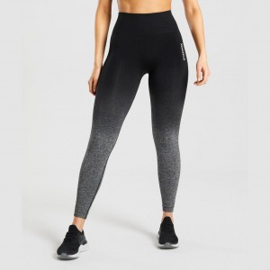 Leggins Gymshark Adapt Ombre Seamless Negras Negras | 73LDHWSYO