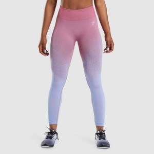 Leggins Gymshark Adapt Ombre Seamless Rosas Rosas Azules Claro | 67VBDAWMQ