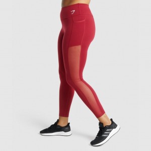 Leggins Gymshark Entrenamiento Mesh Pocket Burdeos | 79RMPJBUY