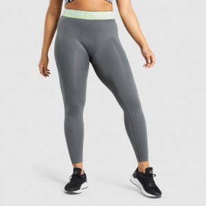 Leggins Gymshark Fit Seamless Charcoal | 01AVORZPW