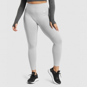 Leggins Gymshark Vital Seamless 2.0 Gris Claro | 46LFTOKSQ