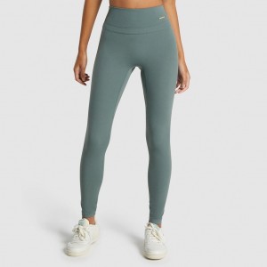 Leggins Gymshark Whitney High Rise Eucalyptus | 93RUMIPLN
