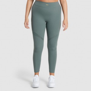 Leggins Gymshark Whitney Mesh Eucalyptus | 23FXNETCZ