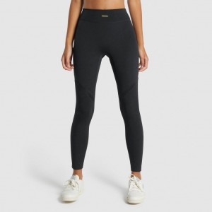 Leggins Gymshark Whitney Mesh Negras | 72AFURIHK