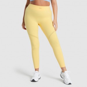 Leggins Gymshark Whitney Mesh Pollen | 58THICUAV