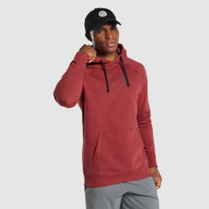 Pullover Gymshark Sharkhead Infill Burdeos | 79PBLAQYE