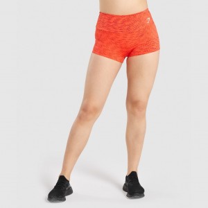 Short Gymshark Entrenamiento Corta Length Naranjas | 30FEWMOCP