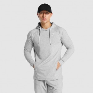 Sudadera con Capucha Gymshark Critical 2.0 Gris Claro | 62NGKBLMU