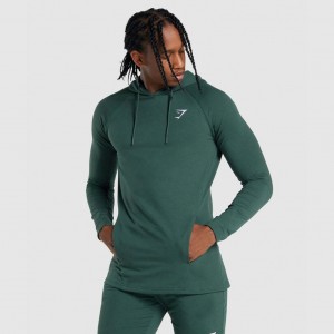 Sudadera con Capucha Gymshark Critical 2.0 Verde Oscuro | 89NEGVBWH