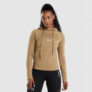 Sudadera con Capucha Gymshark Energy Seamless Marrones | 19UBFARDS