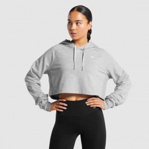 Sudadera con Capucha Gymshark Entrenamiento Cropped Gris Claro | 21NBMWDIH