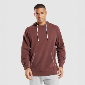 Sudadera con Capucha Gymshark Recess Marrones Blancas | 05PDQFTIS