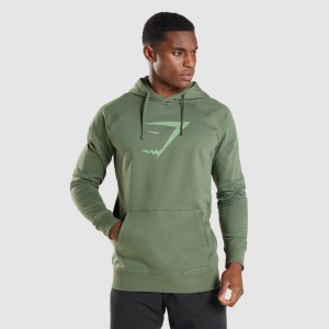 Sudadera con Capucha Gymshark Sharkhead Infill Verde | 10PJTRWKD