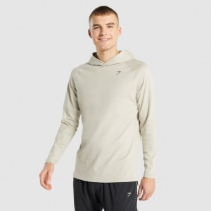 Sudadera con Capucha Gymshark Studio Gris | 09OTZJEWU