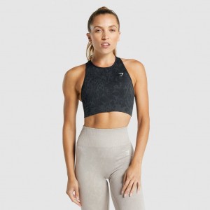 Sujetador Deportivo Gymshark Adapt Animal Seamless Butterfly | 78QNGRCAM