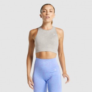 Sujetador Deportivo Gymshark Adapt Animal Seamless Butterfly | 06OXUBCVK