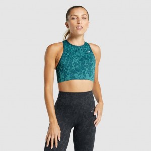 Sujetador Deportivo Gymshark Adapt Animal Seamless Butterfly | 47YBUWCPS