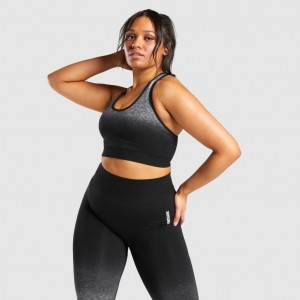 Sujetador Deportivo Gymshark Adapt Ombre Seamless Negras Negras | 73OVCMEFZ