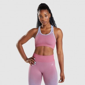 Sujetador Deportivo Gymshark Adapt Ombre Seamless Rosas Rosas Azules Claro | 60BSANROW