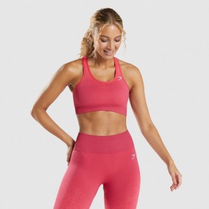 Sujetador Deportivo Gymshark Adapt Ombre Seamless Rosas Rojas | 65CUXNDTR