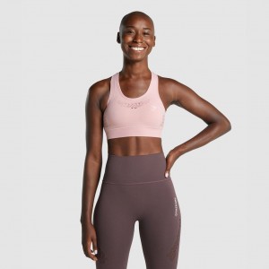 Sujetador Deportivo Gymshark Energy Seamless Rosas Claro | 04FMNJGYB