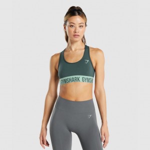 Sujetador Deportivo Gymshark Fit Seamless Verde | 96WEQHONL