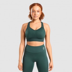 Sujetador Deportivo Gymshark Ligeros High Support Entrenamiento Verde Oscuro | 03GPSCIKM