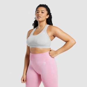 Sujetador Deportivo Gymshark Vital Seamless 2.0 Gris Claro | 26FEPJGVX