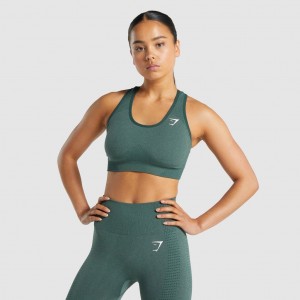 Sujetador Deportivo Gymshark Vital Seamless 2.0 Verde Oscuro | 74BTGLIOW